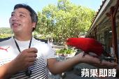 《魯冰花》小學就在北市　幸福小校由貓、狗和鸚鵡巡堂